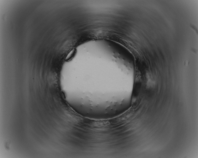 X0000091340571200708241226