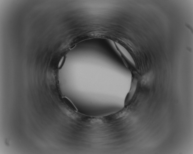 X0000091340572200708241226