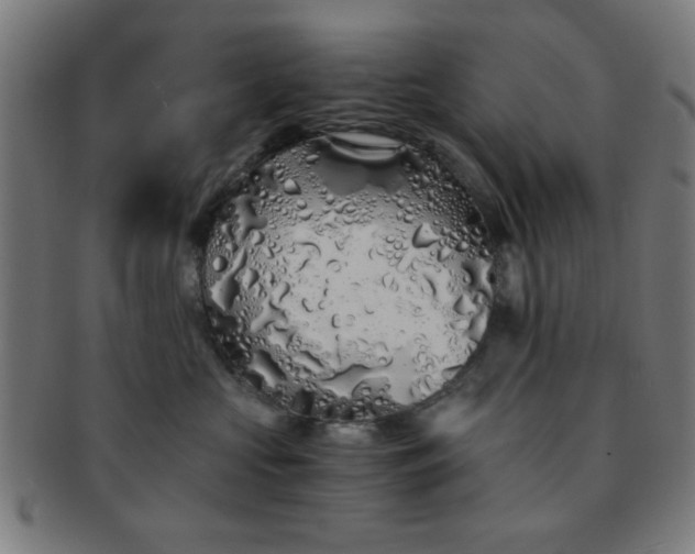 X0000091340573200708241226