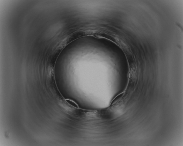 X0000091340574200708241226