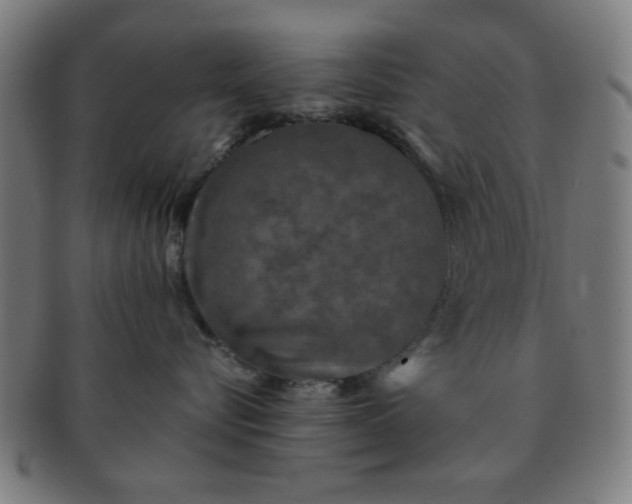 X0000091340576200708241226