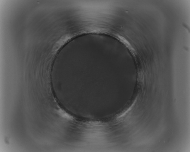 X0000091340577200708241225