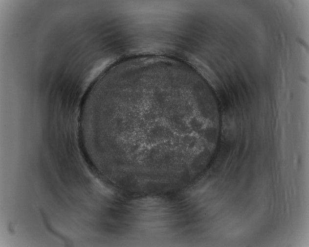 X0000091340578200708241225