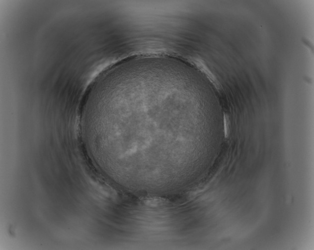 X0000091340579200708241225