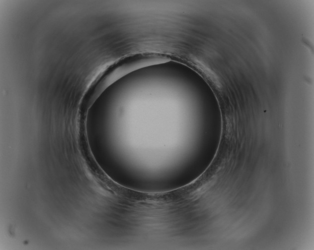 X0000091340580200708241225