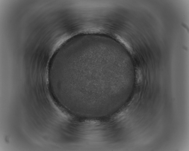 X0000091340582200708241225