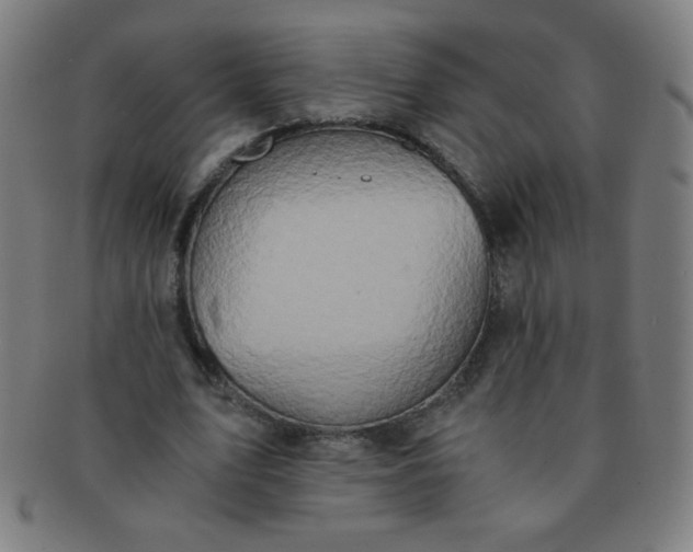 X0000091340583200708241225