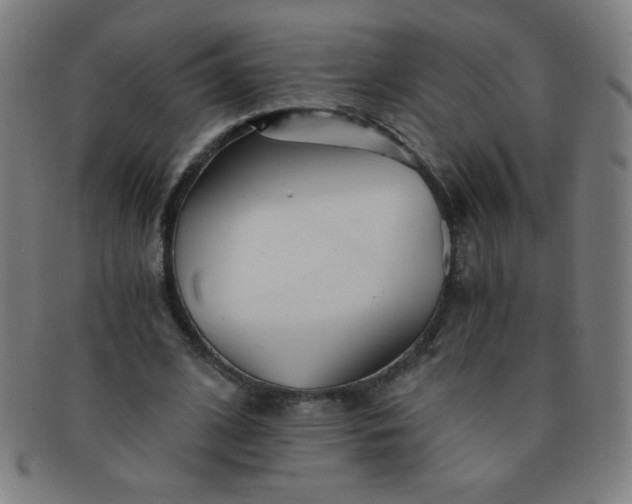 X0000091340584200708241225