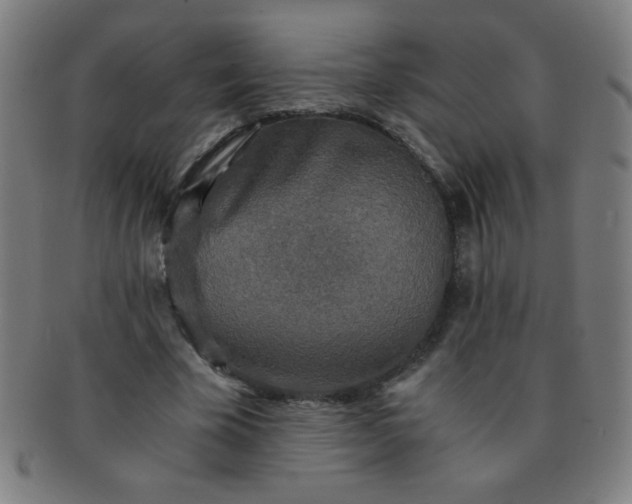 X0000091340585200708241225