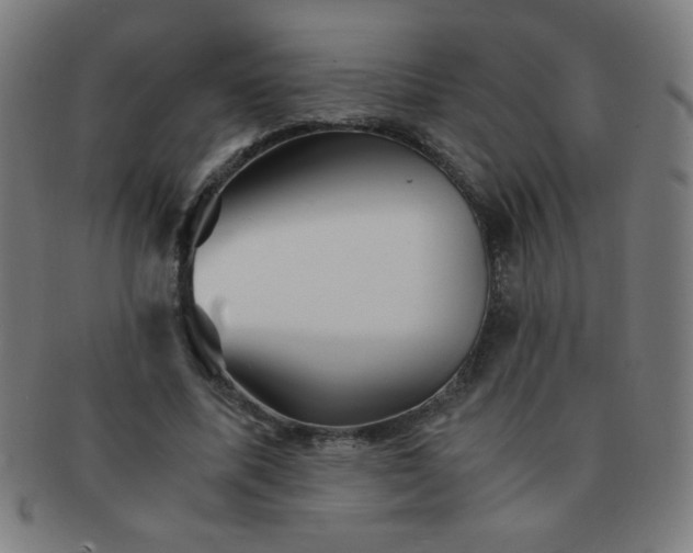 X0000091340587200708241225