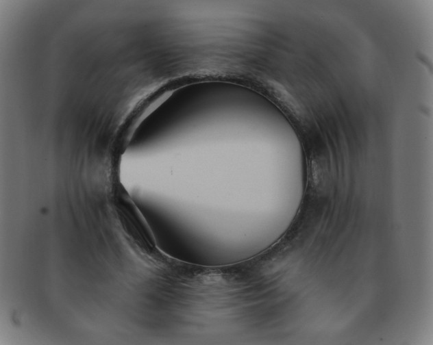 X0000091340588200708241225