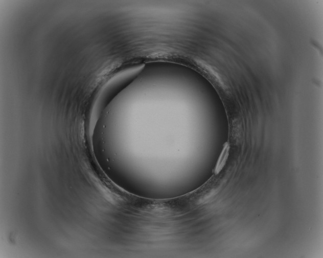 X0000091340589200708241225