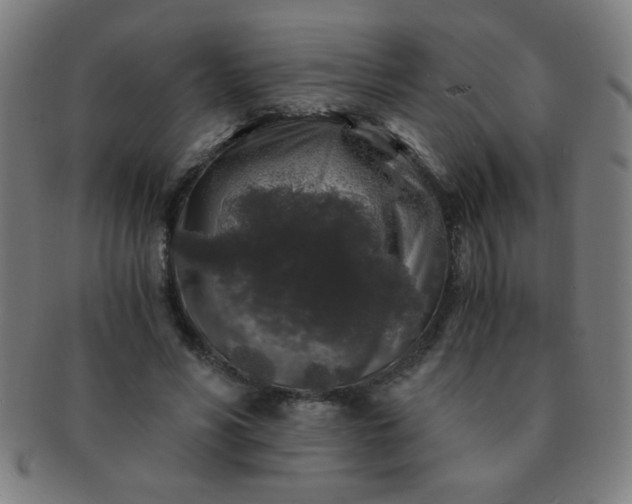 X0000091340590200708241225