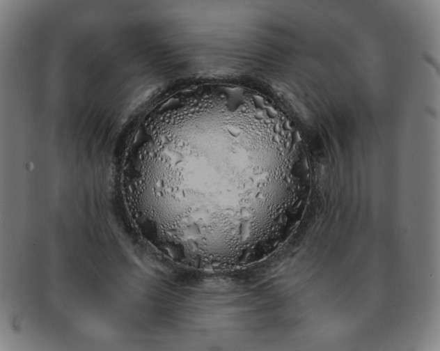 X0000091340591200708241225