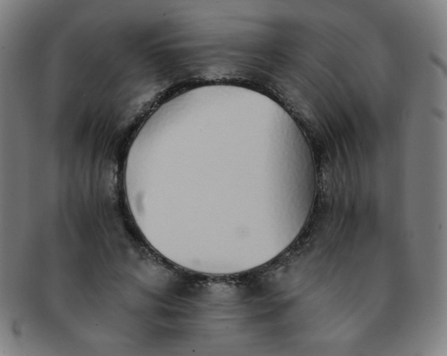 X0000091340592200708241225