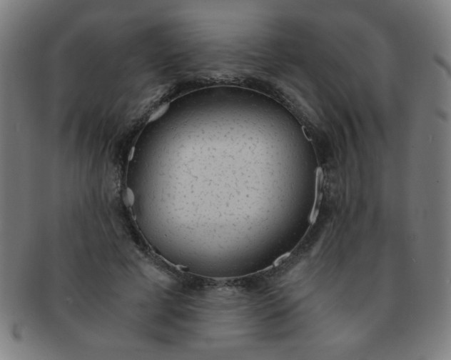 X0000091340593200708241225