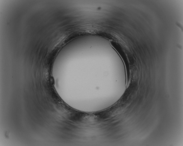 X0000091340595200708241225