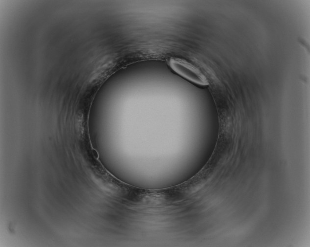 X0000091340599200708241225