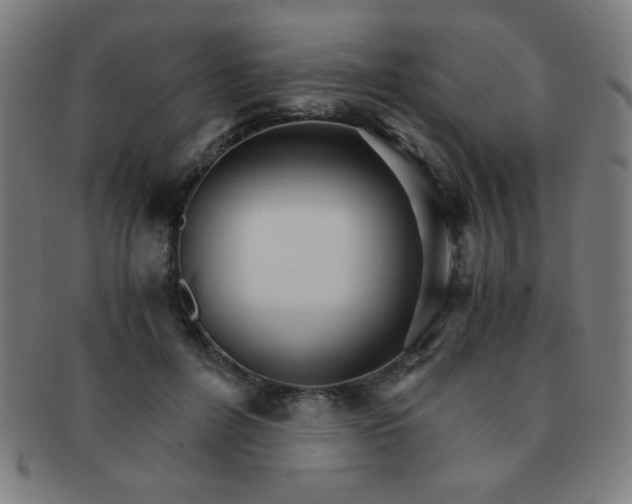 X0000091340600200708241224