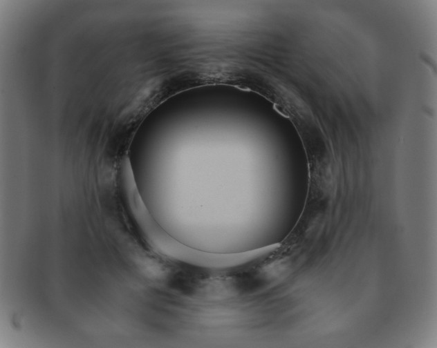 X0000091340601200708241224