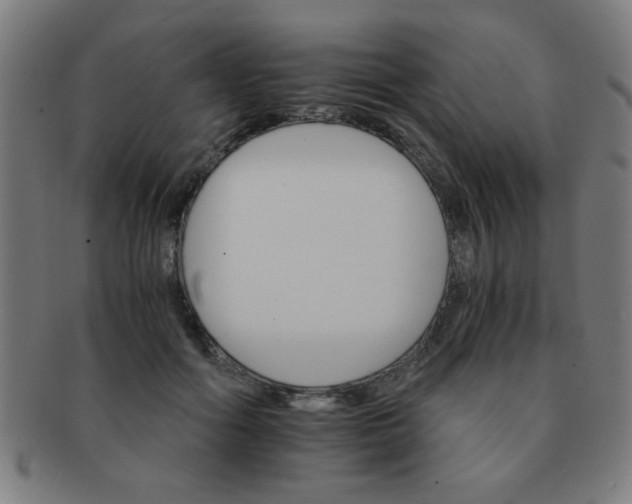 X0000091340602200708241224