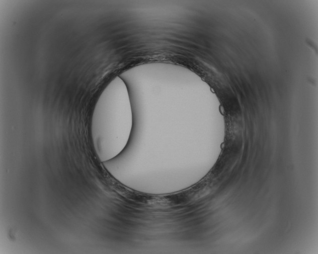 X0000091340603200708241224