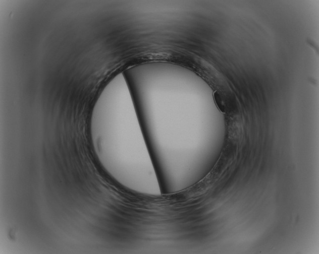 X0000091340604200708241224