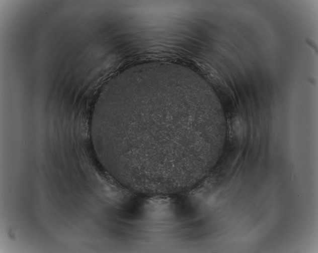 X0000091340606200708241224