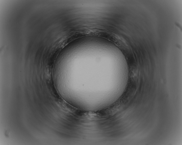 X0000091340607200708241224