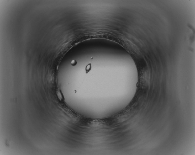 X0000091340608200708241224