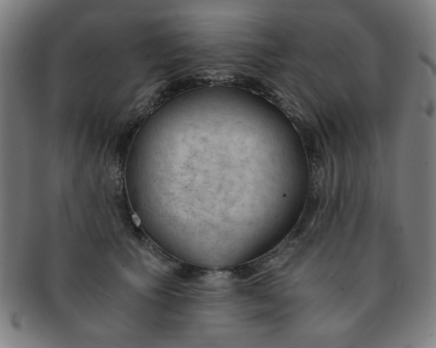 X0000091340609200708241224