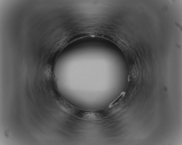 X0000091340611200708241224