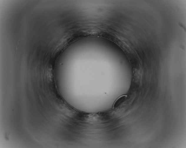 X0000091340612200708241224