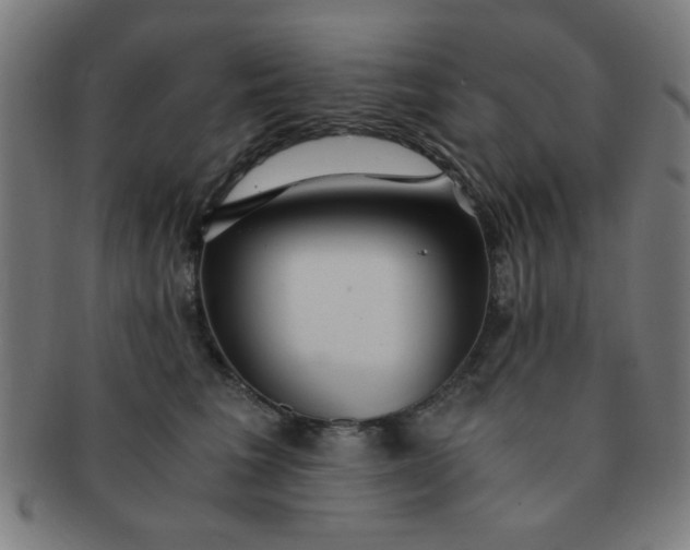 X0000091340613200708241224