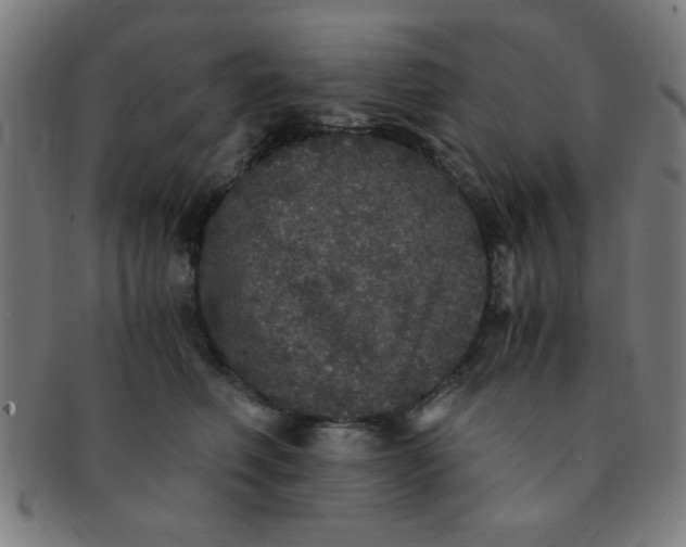 X0000091340614200708241224