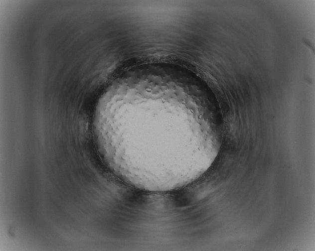 X0000091340615200708241224