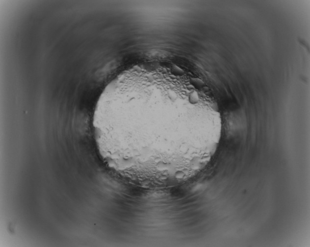 X0000091340619200708241224