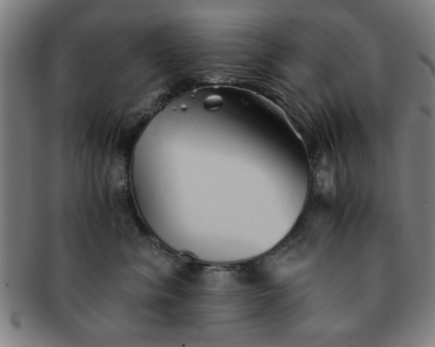 X0000091340620200708241224