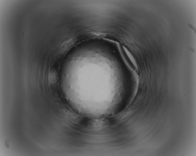 X0000091340623200708241224