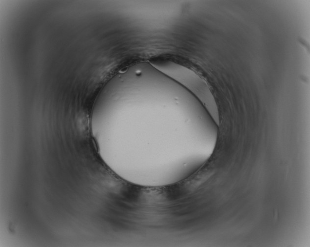 X0000091340624200708241224