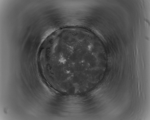 X0000091340626200708241223