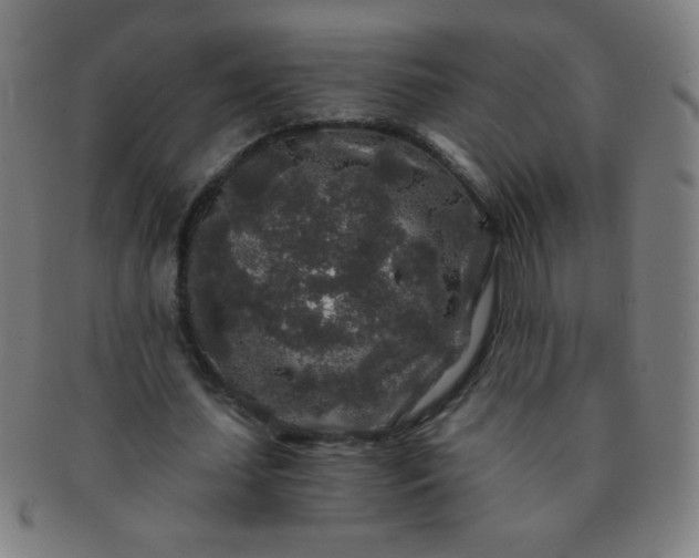 X0000091340627200708241223