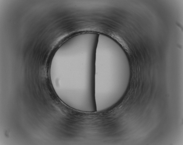 X0000091340628200708241223