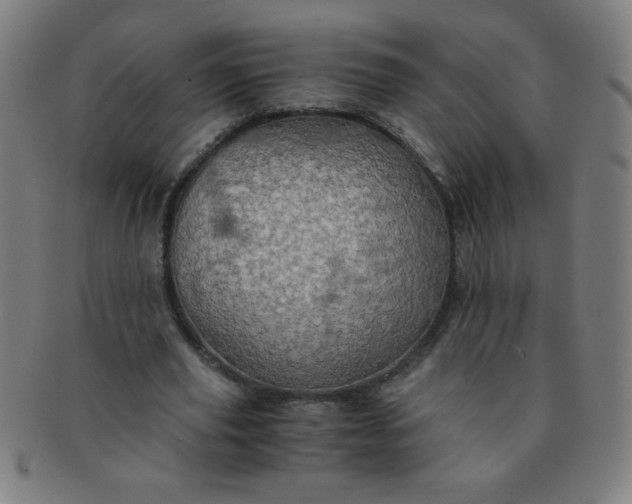 X0000091340629200708241223