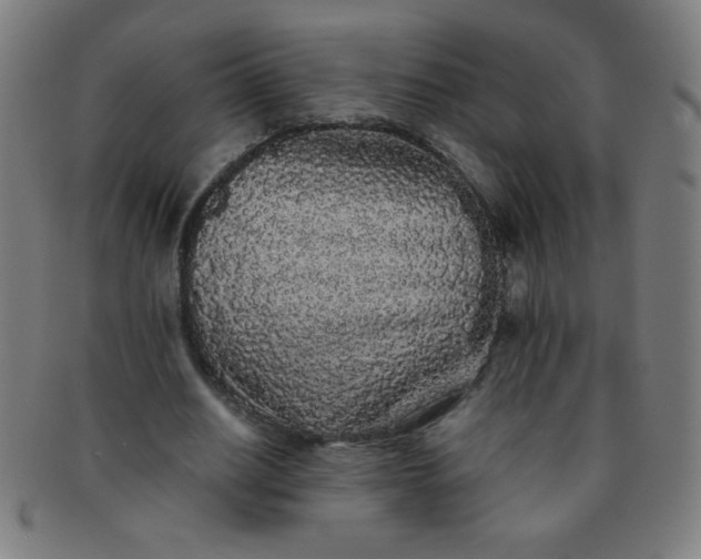 X0000091340630200708241223