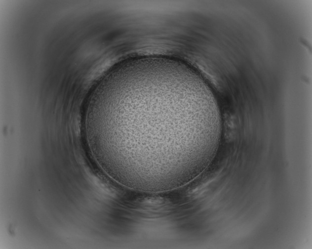 X0000091340631200708241223