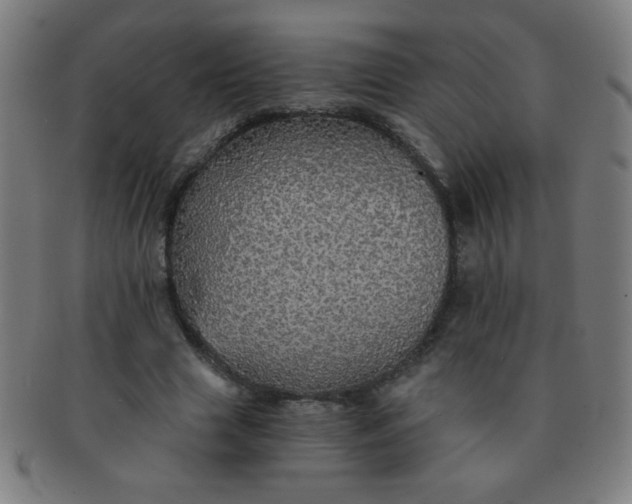 X0000091340633200708241224