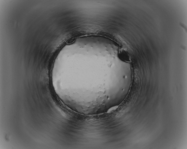 X0000091340634200708241224