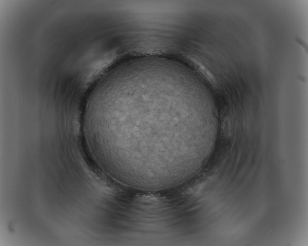 X0000091340635200708241224