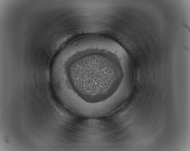 X0000091340636200708241224